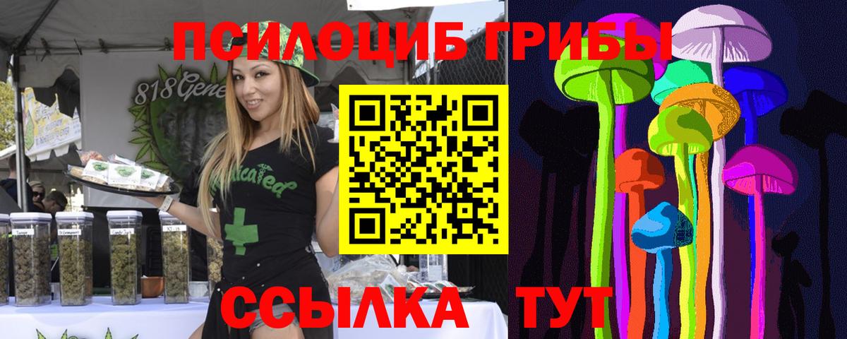 Галлюциногенные грибы Psilocybine cubensis  Нефтекамск 