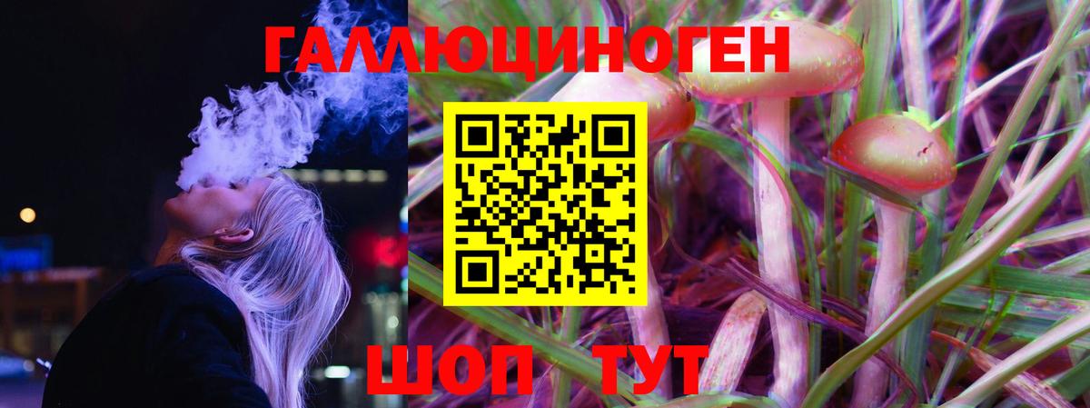 Псилоцибиновые грибы Psilocybe  Вход с VPN  Нефтекамск 
